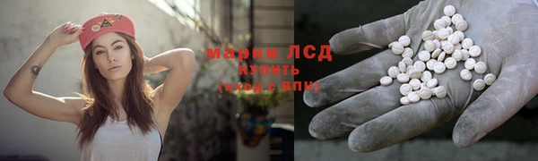 стаф Медногорск
