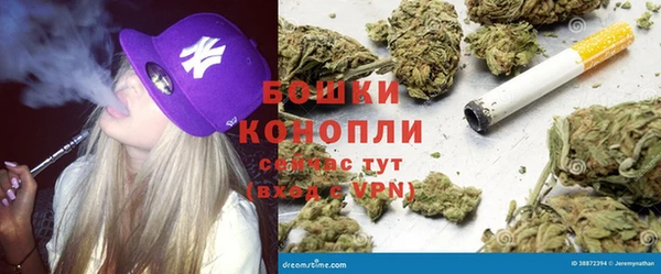 стаф Медногорск