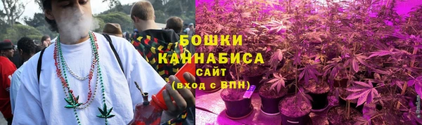 молекула духа Медвежьегорск
