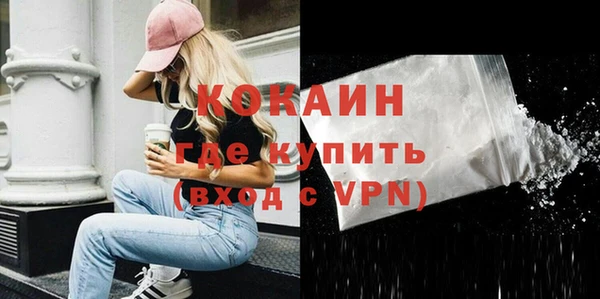 молекула духа Медвежьегорск